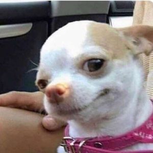 Meet your Posher, Katheryn